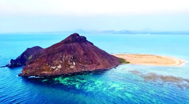 «كدمبل».. وجهة عسيرية لهواة صيد الصقور المهاجرة