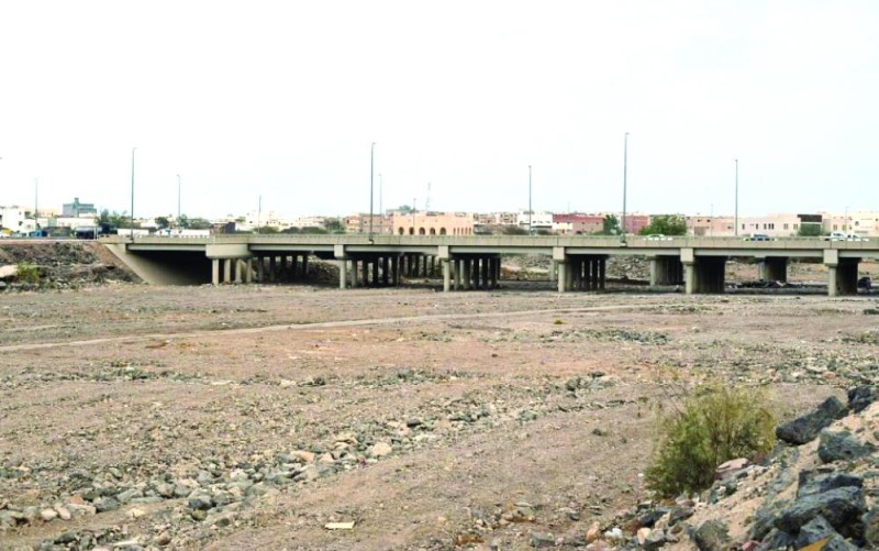 وادي العقيق.. ذاكرة تاريخ وحاضر «طيبة الطيبة»