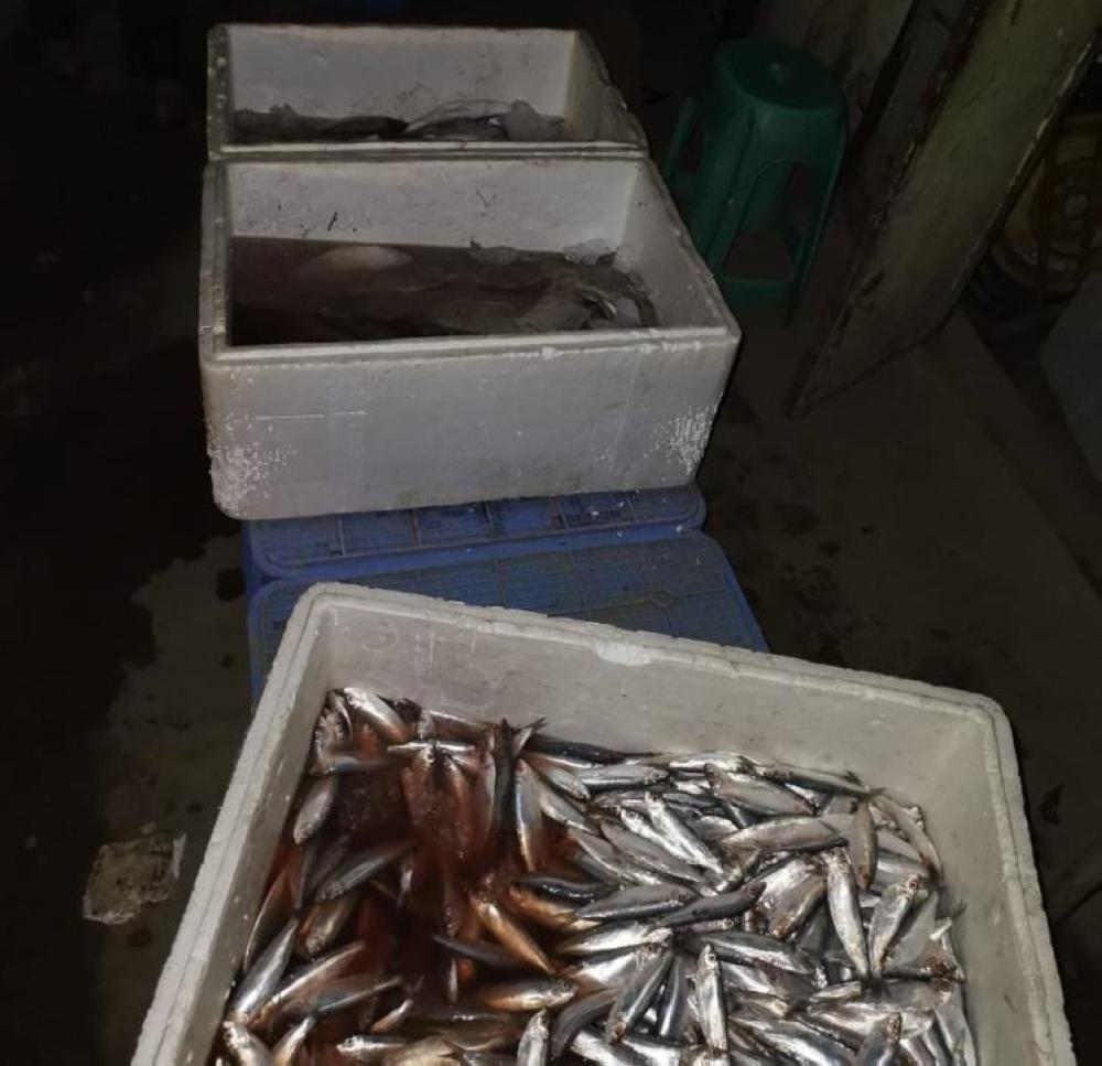 مصادرة 200 كيلو أسماك فاسدة وإغلاق 3 محلات بعسير