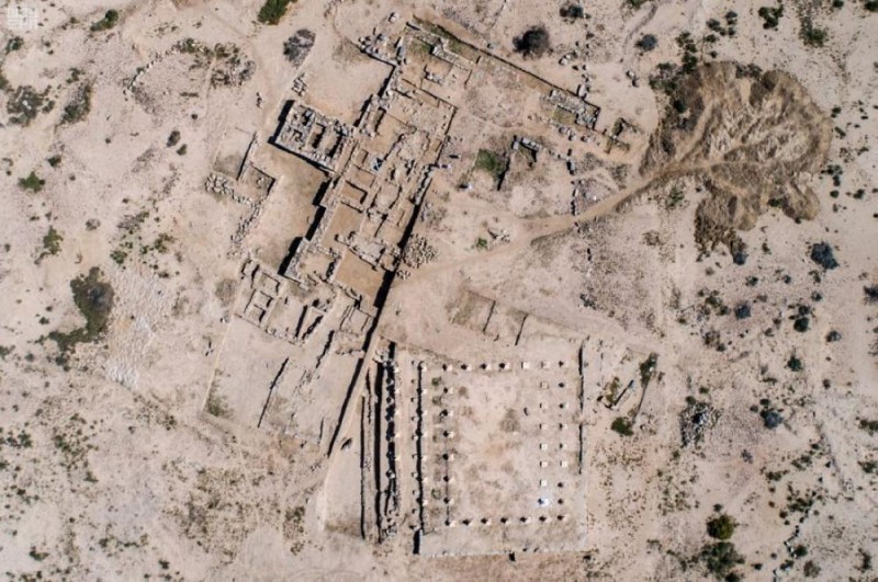 8 مواقع أثرية بالمملكة تثبت وجود الأسد في الجزيرة العربية قديما