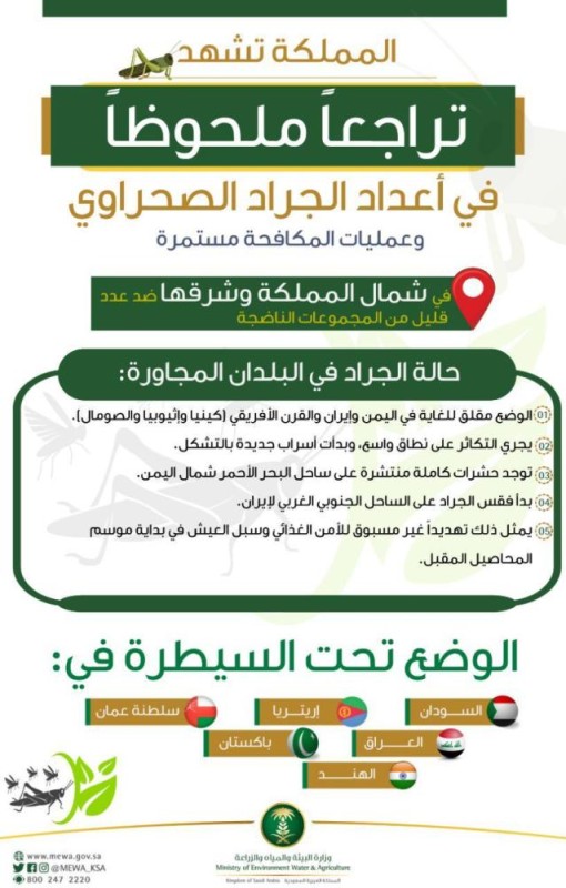 «البيئة»: تراجع ملحوظ في أعداد الجراد