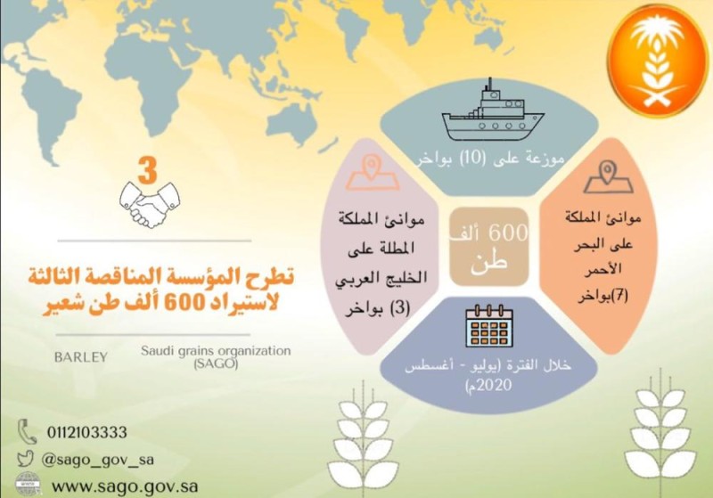 طرح مناقصة لاستيراد 600 ألف طن شعير