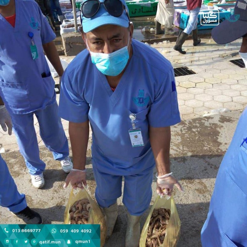 إتلاف 53 كيلو أسماك فاسدة بالقطيف 
