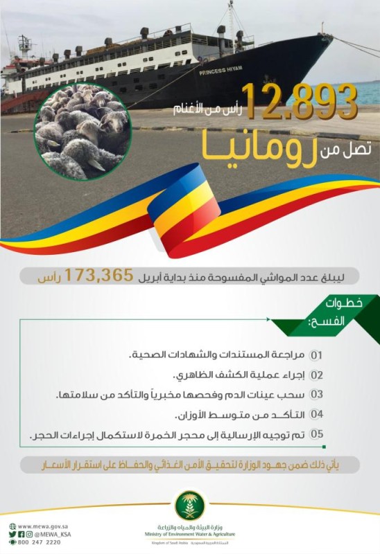 فسح دخول 12 ألف رأس أغنام من رومانيا