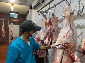 قبيل رمضان.. تطهير وتعقيم المسالخ في الشرقية