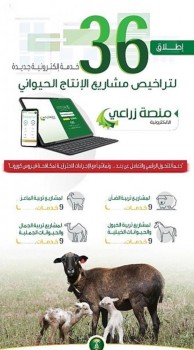 "البيئة" تطلق 36 خدمة إلكترونية جديدة عبر "زراعي"