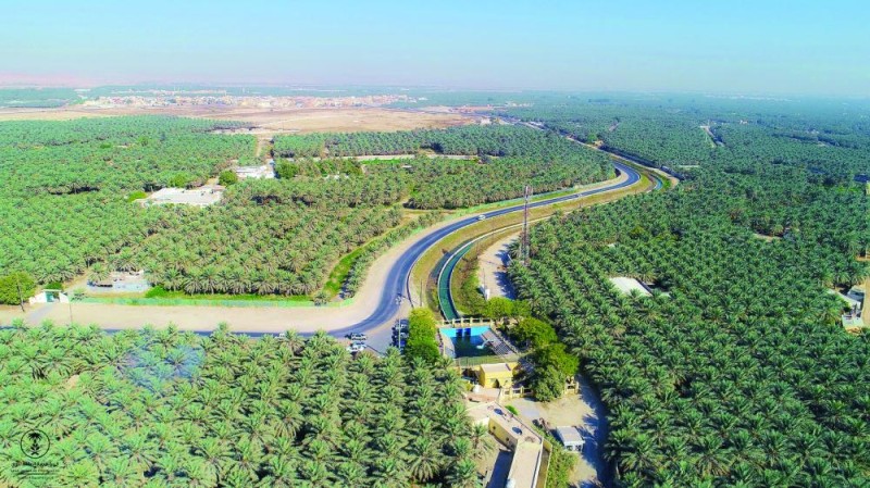 تسجيل أنشطة الواحة التجارية والصناعية إلكترونيا