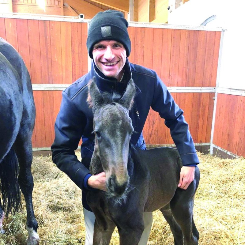 مولر يقضي على الفراغ بتربية الخيول