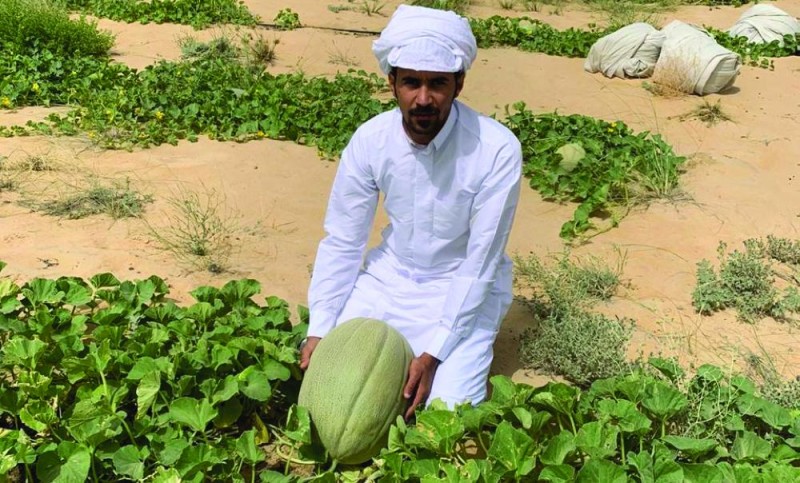 «فاكهة الصيف» تزين موائد الإفطار والسحور