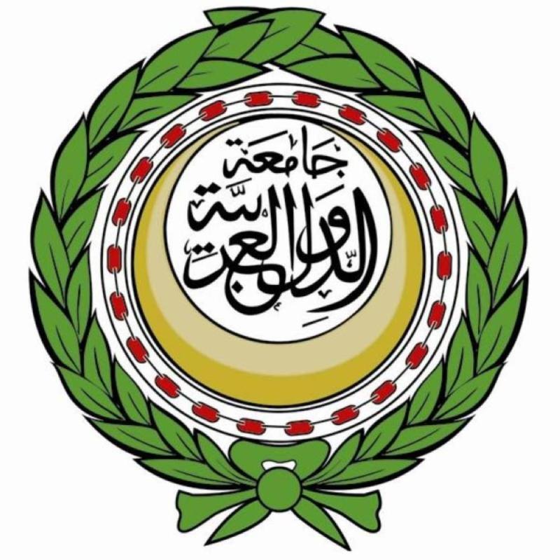 جامعة الدول العربية تدعو إلى وقف فوري لإطلاق النار في ليبيا