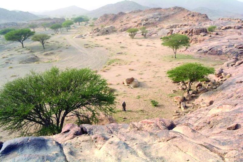 جبل «سواج».. متحف النقوش الثمودية المفتوح