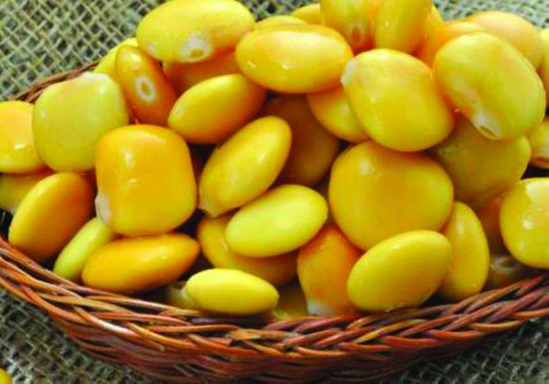 الترمس مصدر الألياف والبروتين بلا دهون