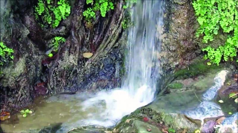 «ذي عين».. جمال البناء وسحر الغطاء الأخضر