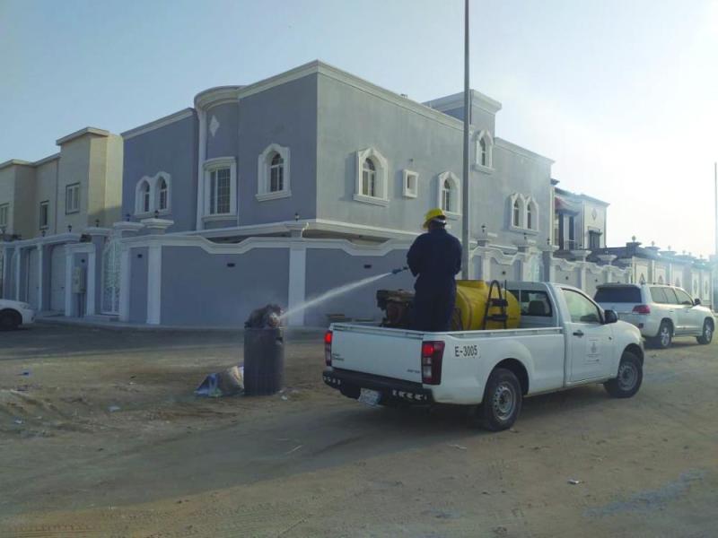 مكافحة الحشرات في «ضاحية الدمام»