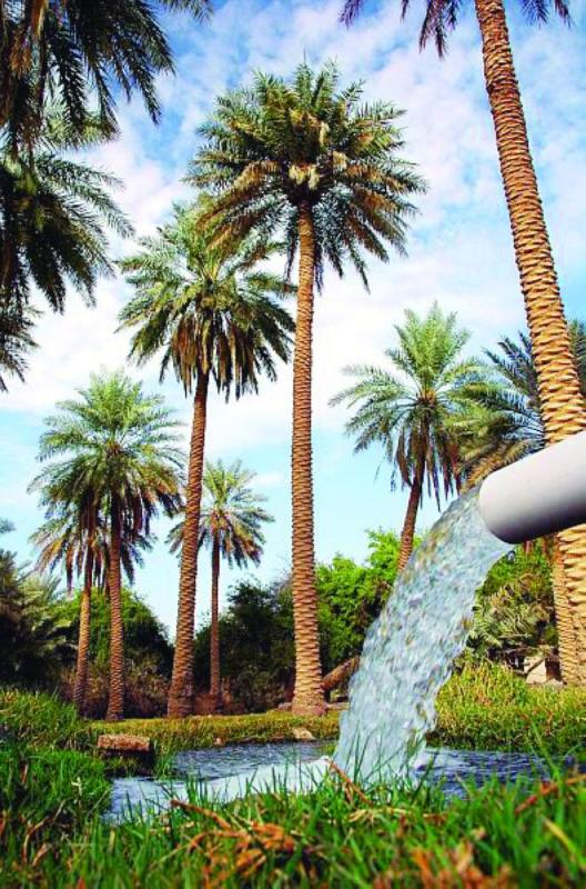 الأحساء.. واحة الآداب والفنون منذ آلاف السنين