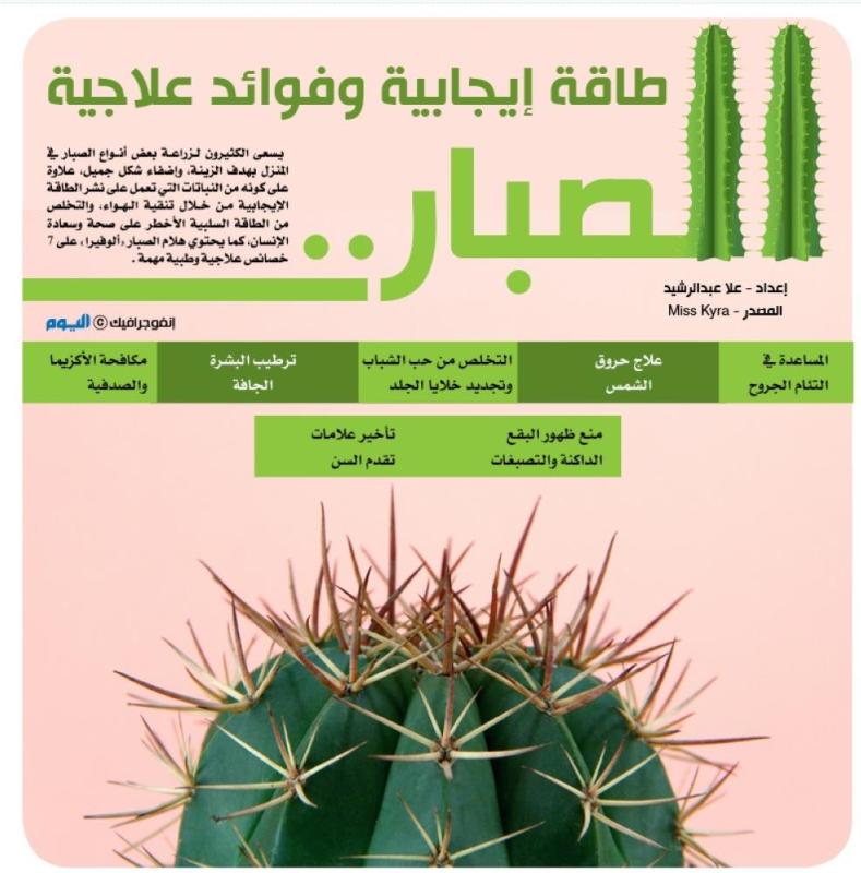 الصبار .. طاقة ايجابية وفوائد علاجية