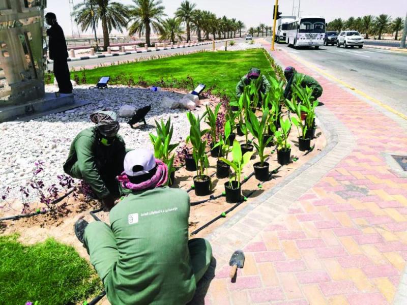 81.4 ألف شجرة وزهرة تزين بقيق