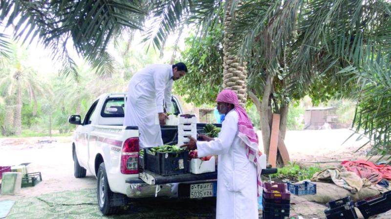 المحاصيل لم تتأثر بـ«الجائحة» ومتابعة الأسعار يوميا