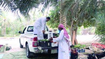 المحاصيل لم تتأثر بـ«الجائحة» ومتابعة الأسعار يوميا