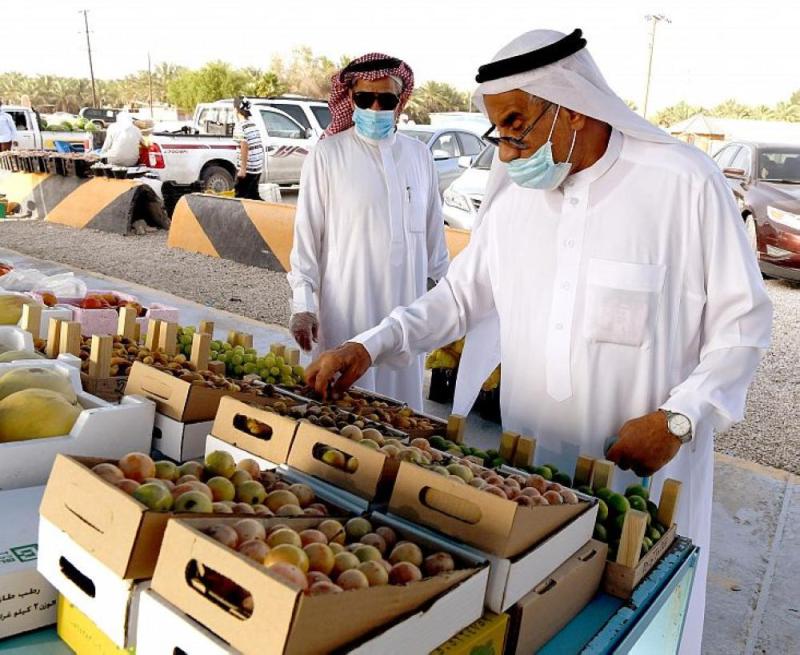 مزارعو الأحساء يقطفون بواكير 