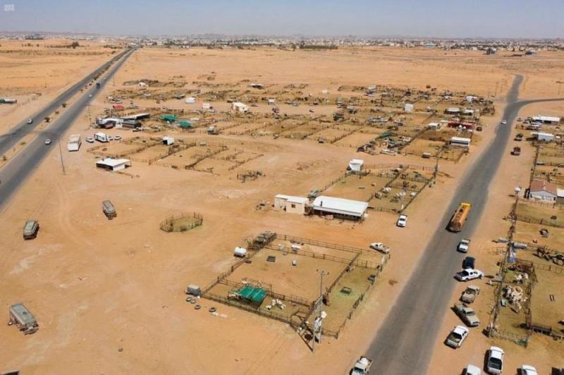توسعة وتطوير سوق الإبل بسكاكا
