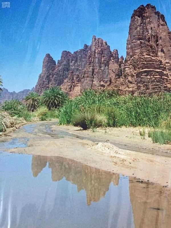 إنقاذ 5 أشخاص علقوا في وادي غمرة بضباء