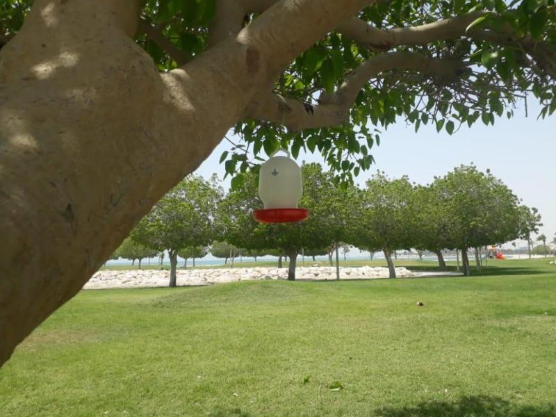 إطلاق مبادرة 