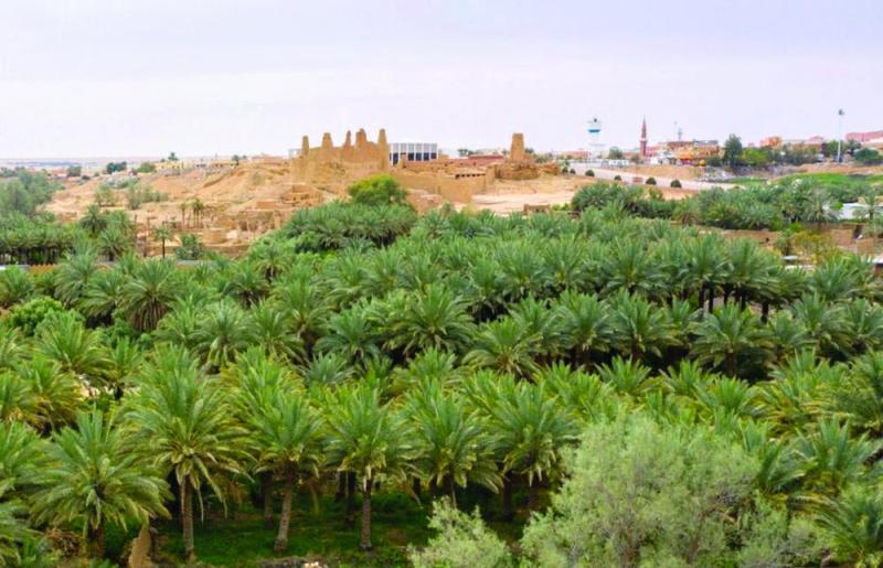 «قلعة مارد».. قاهرة الغزاة