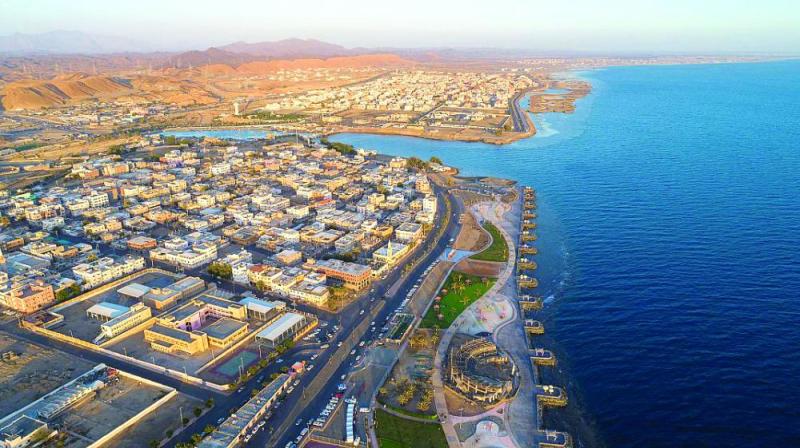 تبوك.. مدينة الثلوج والزهور