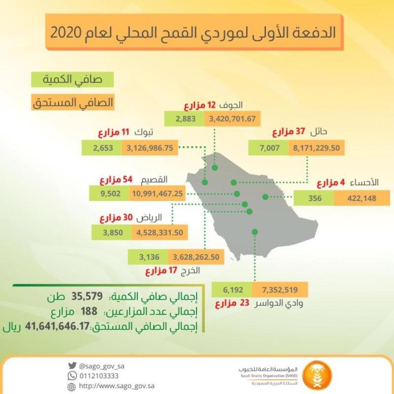 «مؤسسة الحبوب» تبدأ إجراءات صرف مستحقات مزارعي القمح