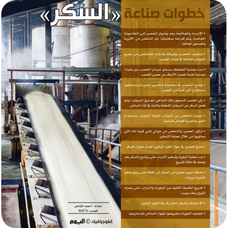 خطوات صناعة «السكر»