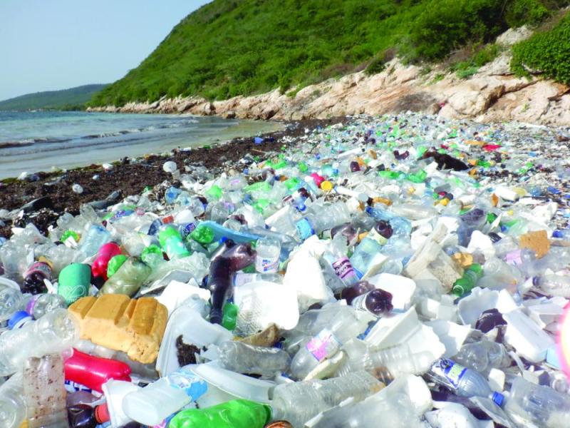 طعام بنكهة «البلاستيك»