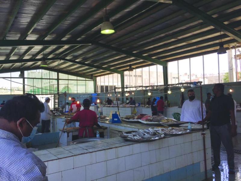 الرياح وتراجع الطلب تهبط بأسعار الأسماك 20 %