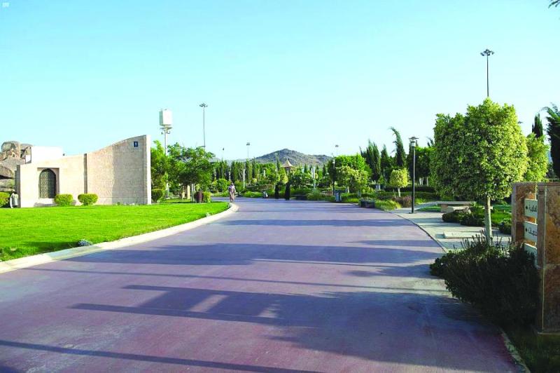 «ردف الطائف».. وجهة الباحثين عن الهدوء