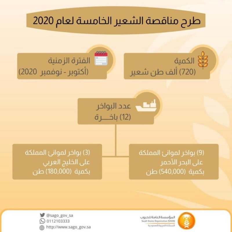 'مؤسسة الحبوب': استيراد 725 ألف طن من الشعير 