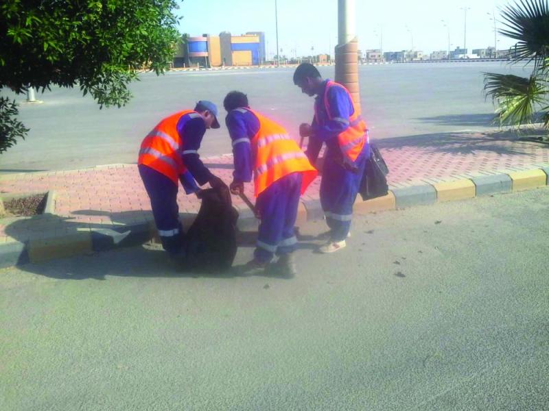 رفع 8200 كيس نفايات من واجهة الخفجي البحرية