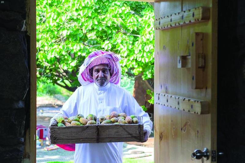 «الطائف» عروس المصايف وبستان الفاكهة الموسمية