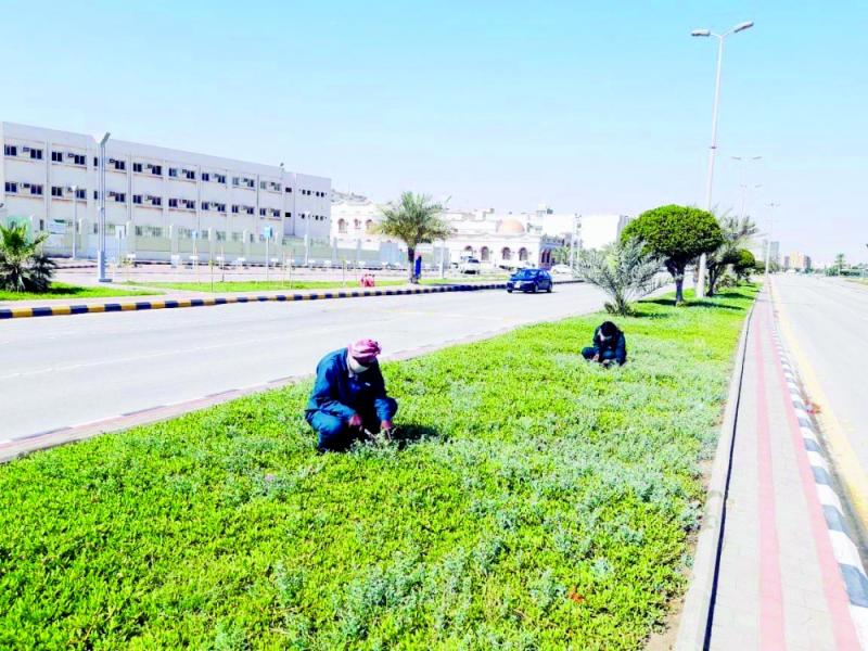 تعقيم وتهيئة حدائق الجبيل لاستقبال «الأضحى»