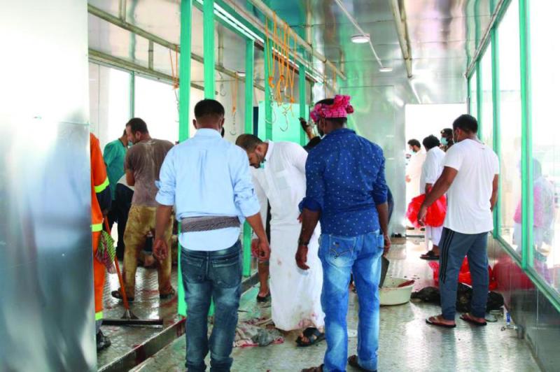 «المسالخ المبتكرة».. سوء تنظيم وغياب للعمالة المدربة