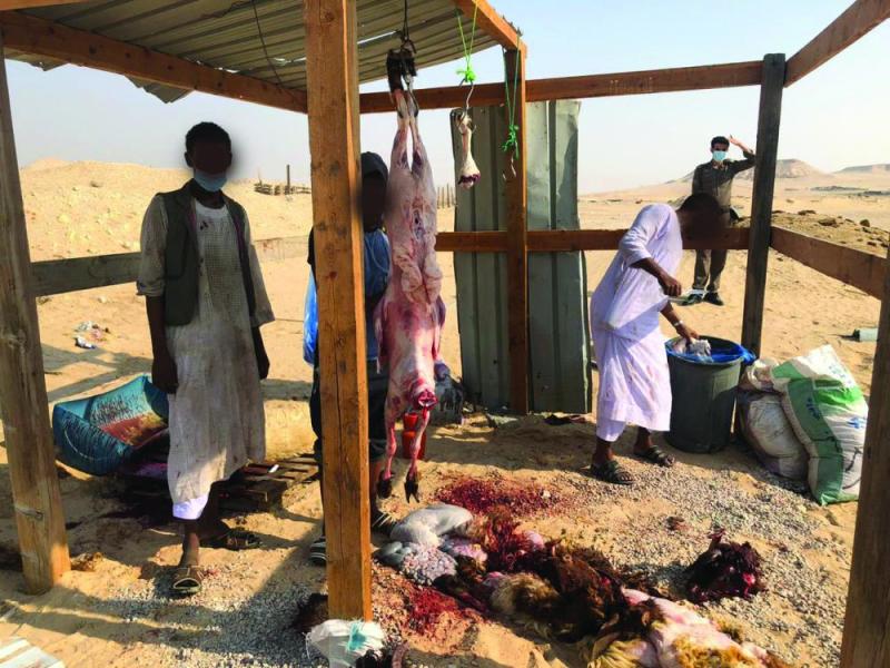 مصادرة 46 ذبيحة بالأحساء