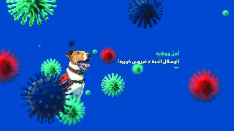 كلاب «بايلو» البوليسية تصطاد كورونا بالجمارك