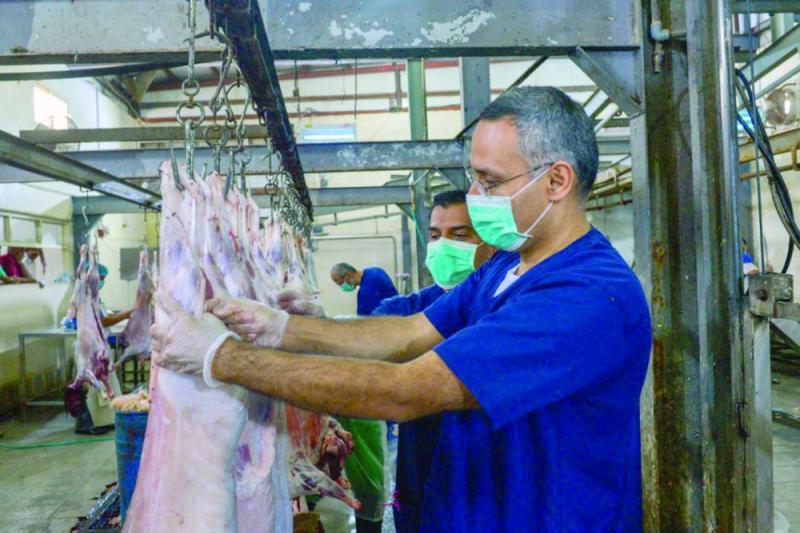 4700 ذبيحة بالقطيف في 72 ساعة