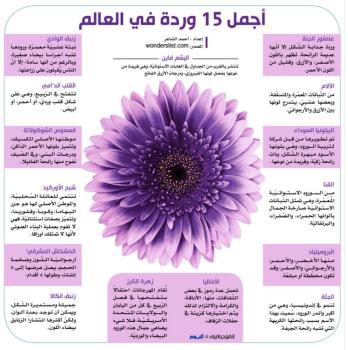 أجمل 15 وردة في العالم