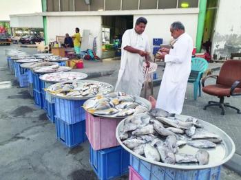 صيد الروبيان يرفع أسعار الأسماك 50 %.. والمستوردة تغزو الأسواق