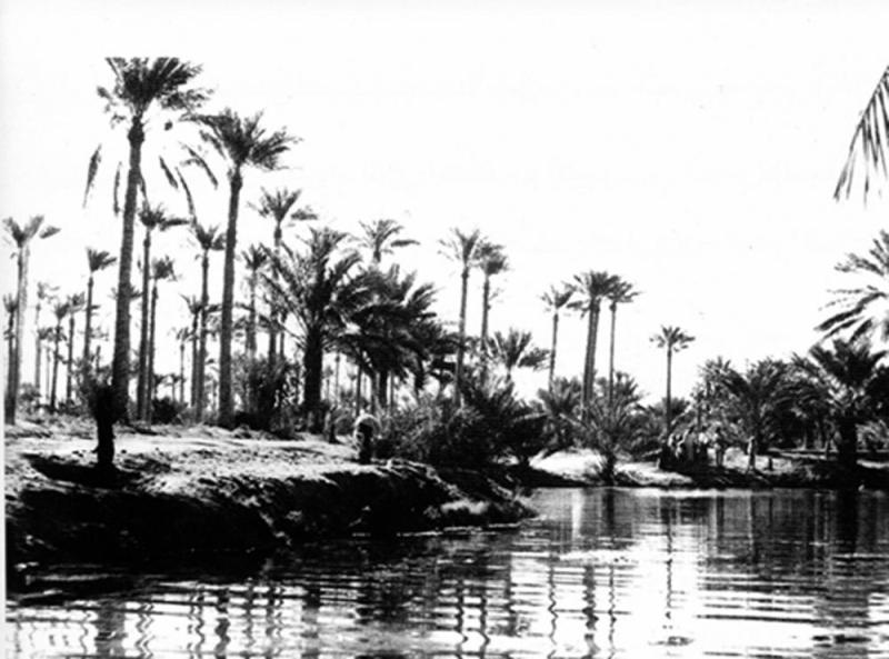 «سليسل العظيم».. نهر يروي واحة الأحساء