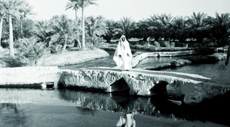 «سليسل العظيم».. نهر يروي واحة الأحساء