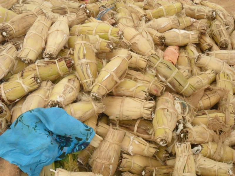 إحباط تهريب أكثر من طنين من الحشيش والقات