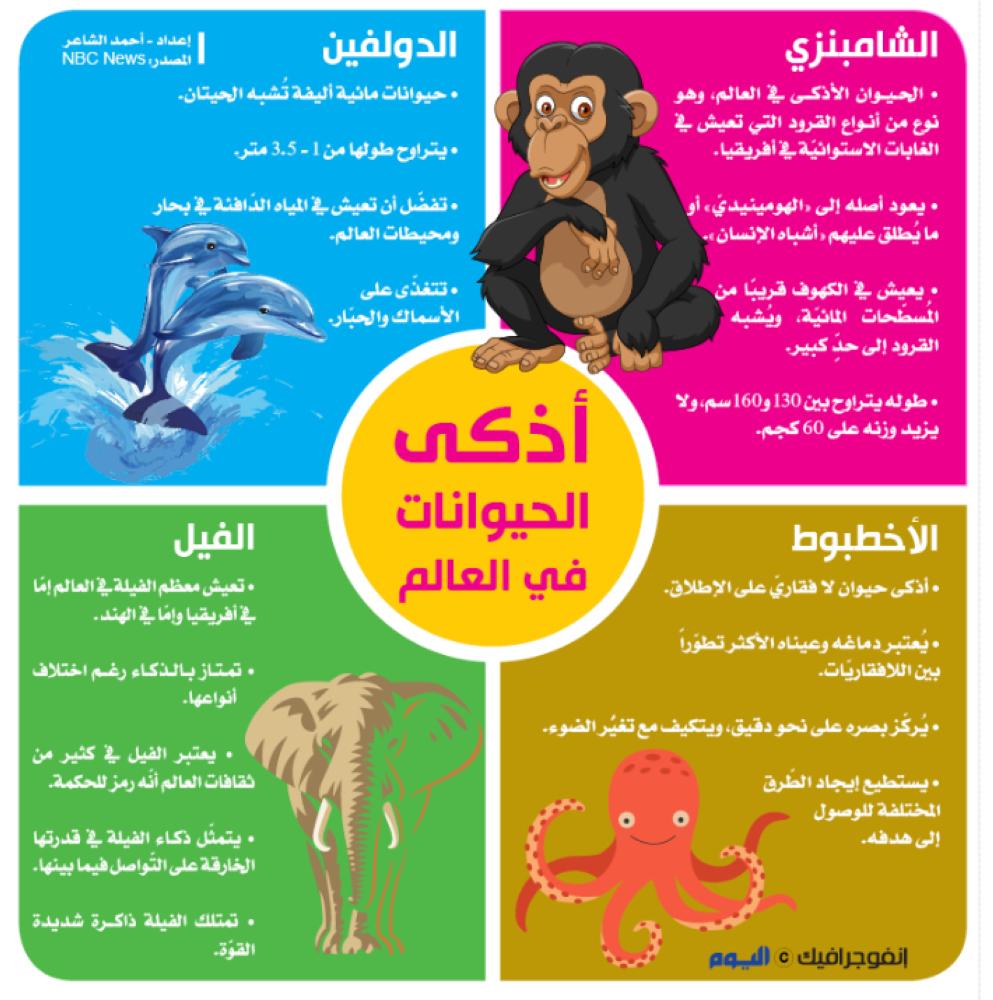 أذكى الحيوانات في العالم