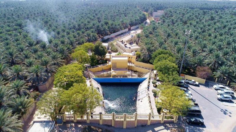 إغلاق 28 نشاطاً تجارياً مخالفاً بـ'واحة الأحساء'