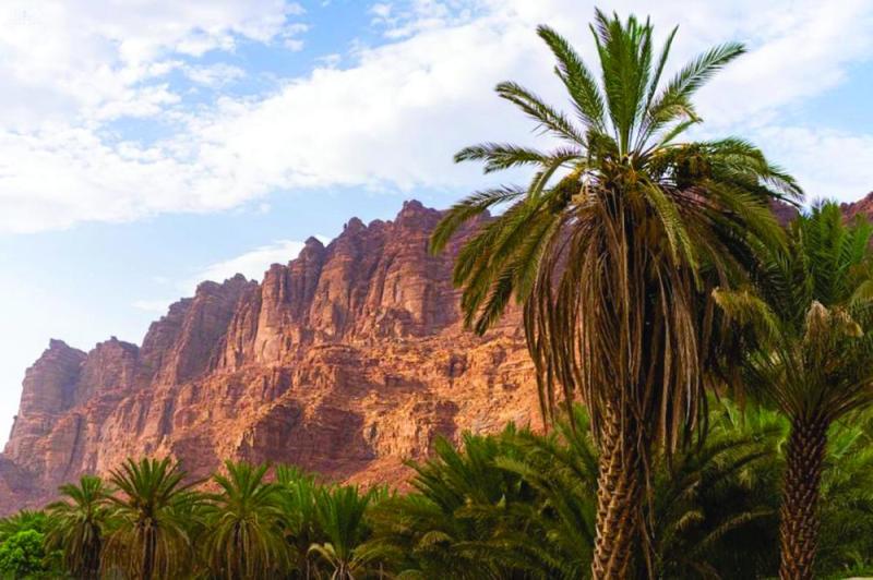 «الديسة».. روعة الجمال والطبيعة